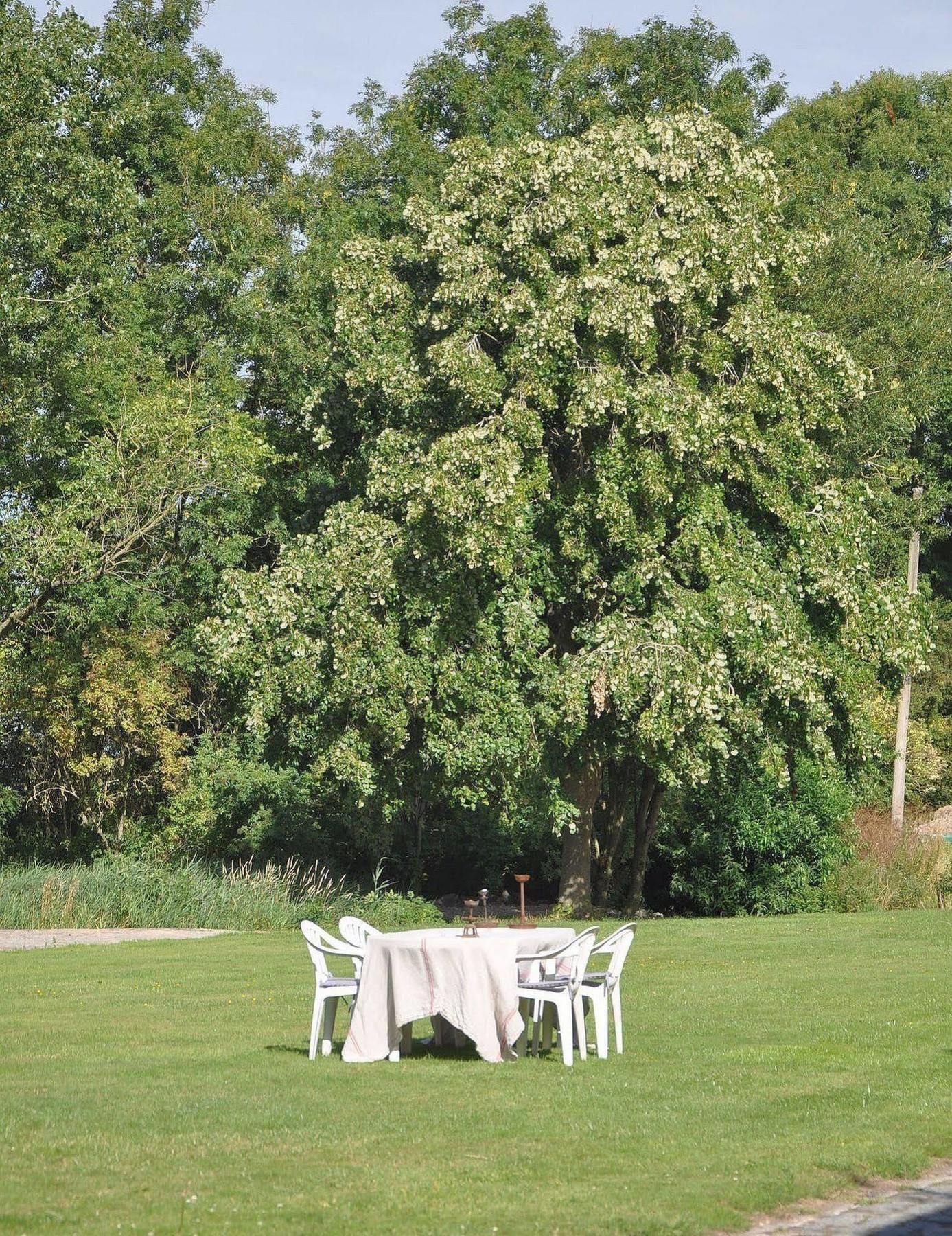 Villa Groot Noordhof à Nieuport Extérieur photo